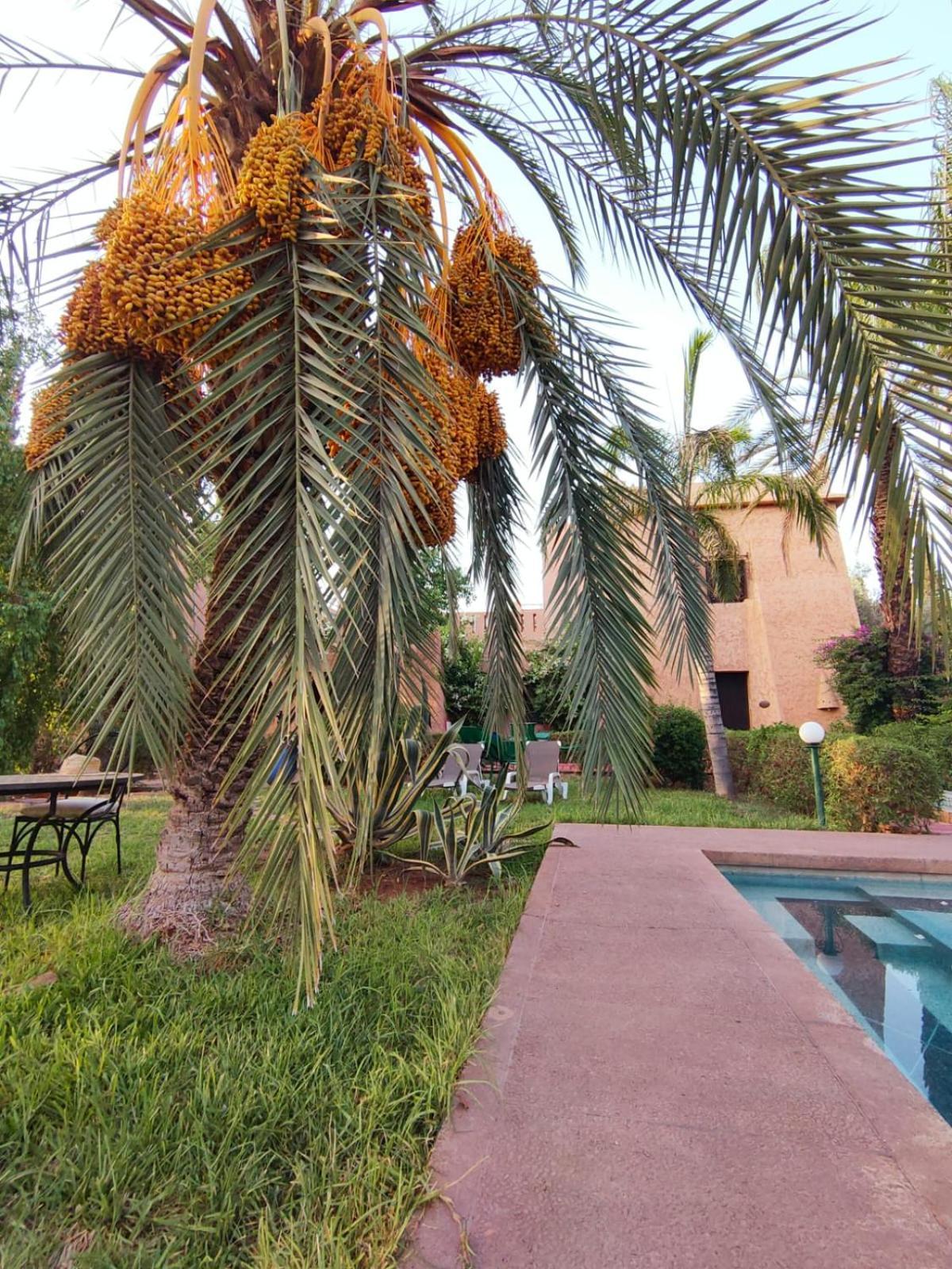 Riad Sheherazade Marrakech Marrakesch Exterior foto