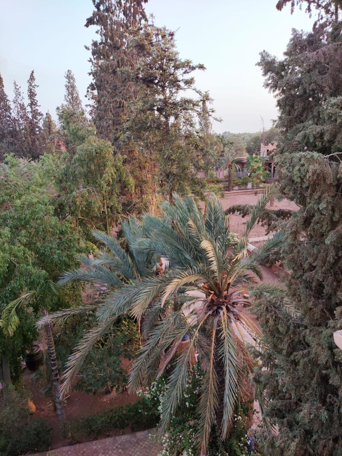 Riad Sheherazade Marrakech Marrakesch Exterior foto